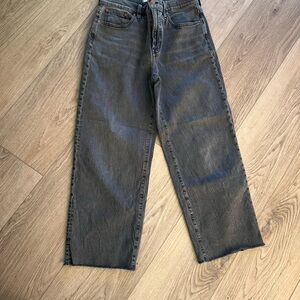 Madewell Perfect Vintage Wide Leg Crop Jean in Lunar Wash